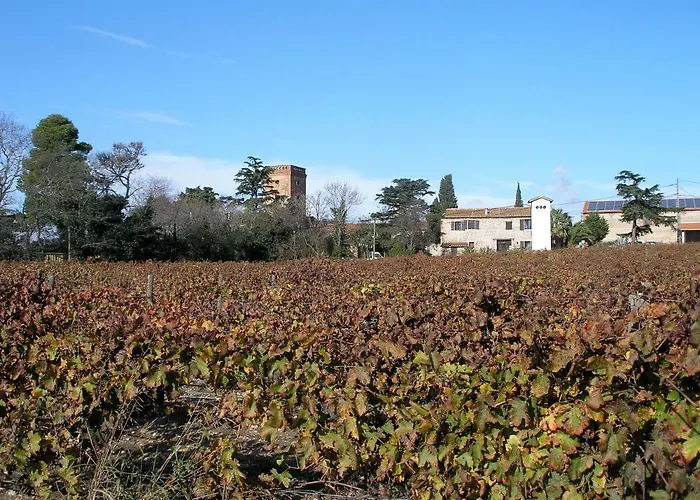 Hébergement de vacances Mas Miraflors